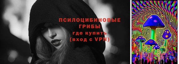 мяу мяу мука Аркадак
