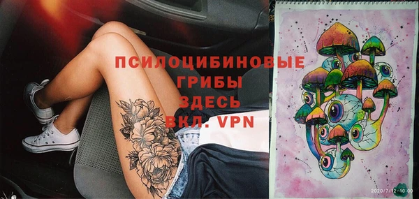 мяу мяу мука Аркадак