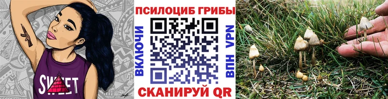 Псилоцибиновые грибы GOLDEN TEACHER  где можно купить   Лысково 
