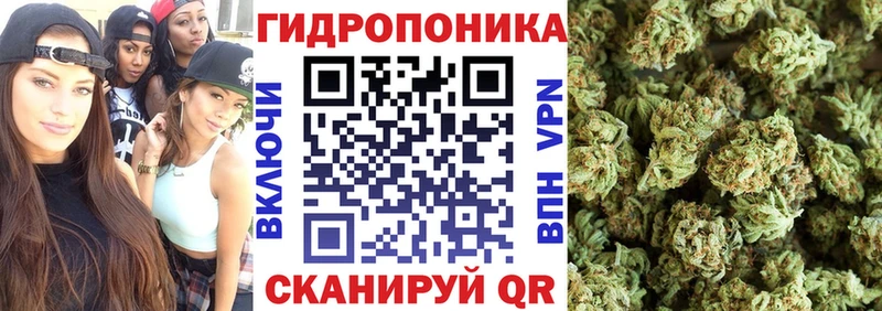 наркота  Лысково  Бошки марихуана тримм 